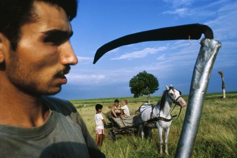 Tomasz Tomaszewski, Gypsies. Different People, Just Like Us.