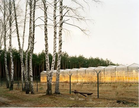 Mark Power, Stezyca, 04.2005