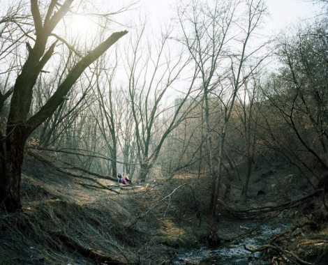 Alexander Gronsky, Pastoral, 2008 - 2012