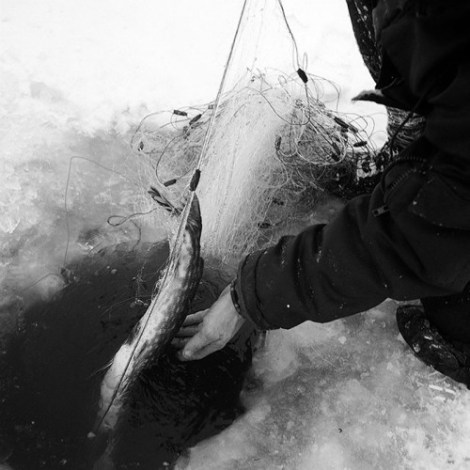 Karlis Bergs, Between the Lake and the Sea (2011 - 2013)