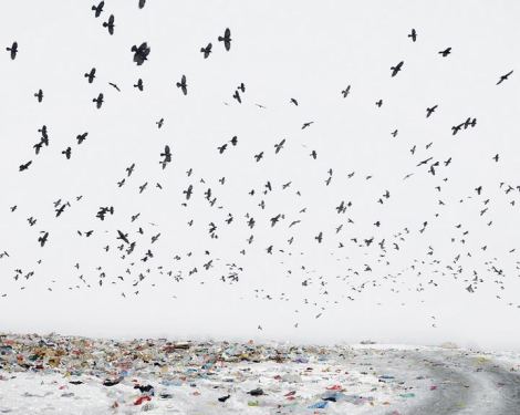 Tamas Dezso, Dump, Near Aiud, West Romania, 2012