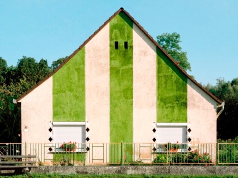 Katharina Roters, Vejti, Hungarian Cubes, between 2003 - 2014