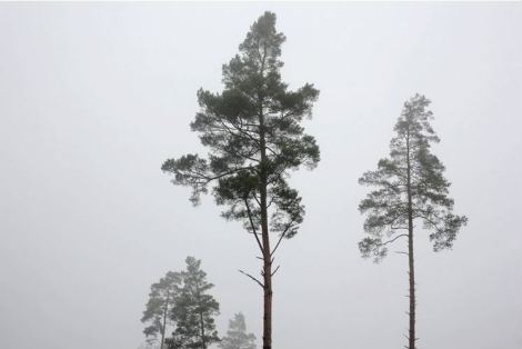 Michal Iwanowski, Clear of People (2012 – 2013)