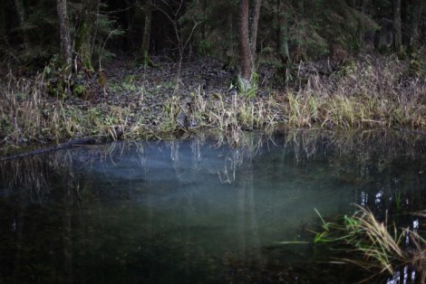 Michal Iwanowski, Clear of People (2012 – 2013)