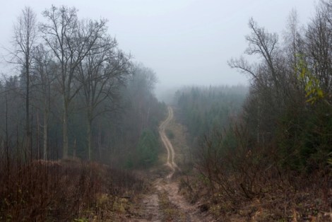 Michal Iwanowski, Clear of People (2012 – 2013)