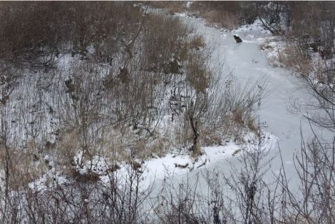 Michal Iwanowski, Clear of People (2012 – 2013)