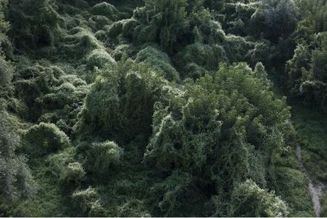 Michal Iwanowski, Clear of People (2012 – 2013)