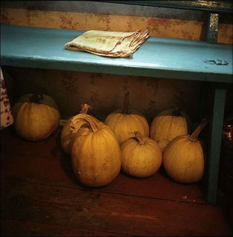 Squash under the bench in Hanna Zavorotnya’s house in Kapavati village. Chernobyl, Ukraine. December 2010.