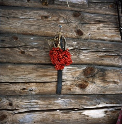 Berries hanging on the walls of Maria Harlam’s house in Guben village. Chernobyl, Ukraine. December 2010.