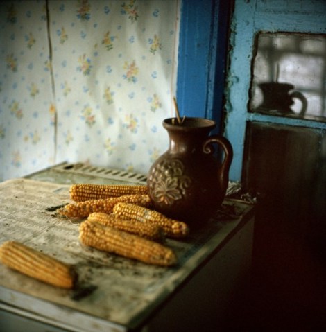 Corn from the orchard and a wine jar on top of the refrigerator in Nadejda Gorbachenko’s house. Guben Village. Chernobyl, Ukraine. December 2010.