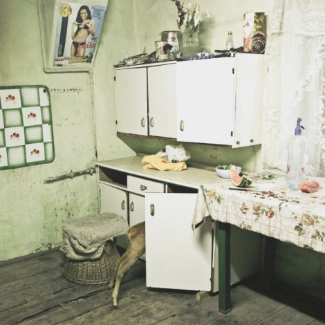 Ioana Cirlig, Pet Deer, Kovary Family, Copsa Mica, Post-Industrial Stories 