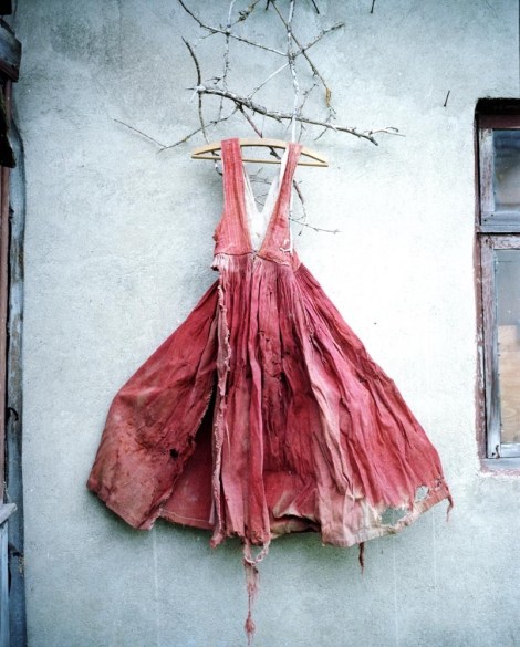 Marta Berens, Suiti (2014 - present)