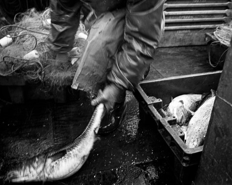 Tomasz Lazar, Coastline (2008 - 2010)