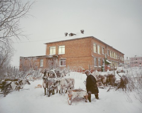 Ikuru Kuwajima, A School for Nenets (2014)