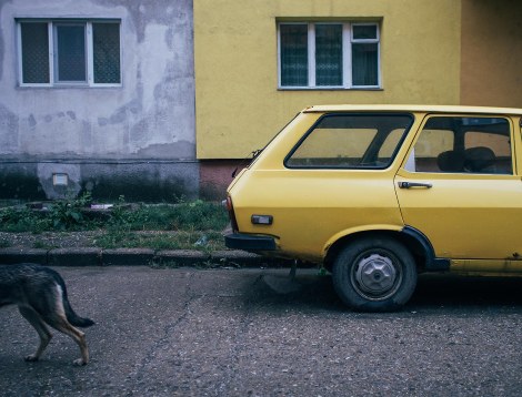 Tamas Hajdu, Eastern Mirror (2012)