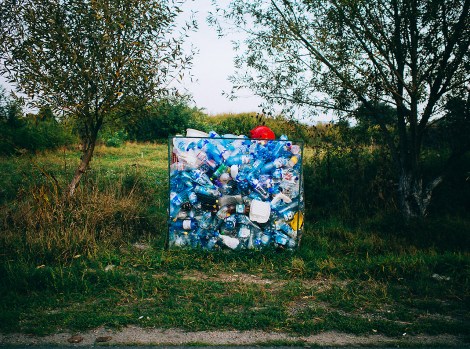 Tamas Hajdu, Eastern Mirror (2012)